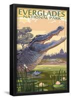 The Everglades National Park, Florida - Alligator Scene-null-Framed Poster