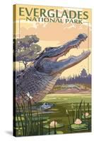 The Everglades National Park, Florida - Alligator Scene-Lantern Press-Stretched Canvas