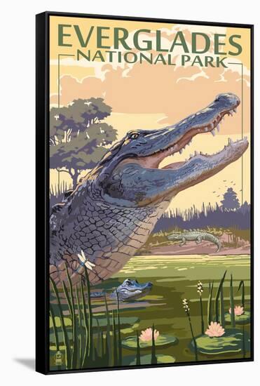 The Everglades National Park, Florida - Alligator Scene-Lantern Press-Framed Stretched Canvas