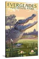 The Everglades National Park, Florida - Alligator Scene-Lantern Press-Stretched Canvas