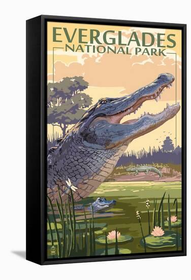 The Everglades National Park, Florida - Alligator Scene-Lantern Press-Framed Stretched Canvas