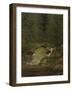 The Evergreens by the Waterfall-Caspar David Friedrich-Framed Giclee Print