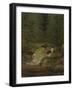 The Evergreens by the Waterfall-Caspar David Friedrich-Framed Giclee Print