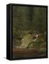 The Evergreens by the Waterfall-Caspar David Friedrich-Framed Stretched Canvas