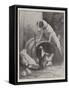 The Eviction of Diogenes-Fannie Moody-Framed Stretched Canvas