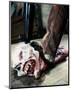 The Evil Dead-null-Mounted Photo