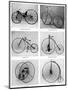 The Evolution of the Bicycle, 19th Century-null-Mounted Giclee Print