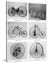 The Evolution of the Bicycle, 19th Century-null-Stretched Canvas