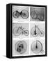 The Evolution of the Bicycle, 19th Century-null-Framed Stretched Canvas