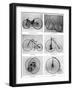 The Evolution of the Bicycle, 19th Century-null-Framed Giclee Print