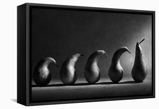 The Evolution-Victoria Ivanova-Framed Stretched Canvas