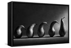 The Evolution-Victoria Ivanova-Framed Stretched Canvas