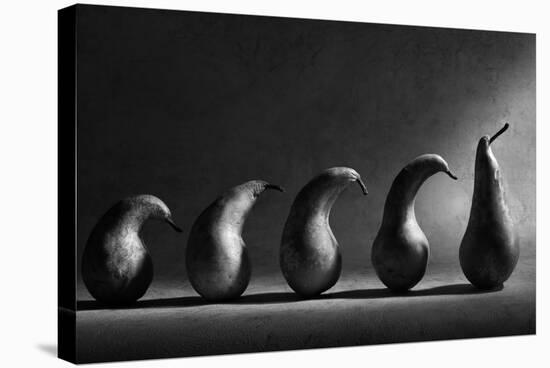 The Evolution-Victoria Ivanova-Stretched Canvas