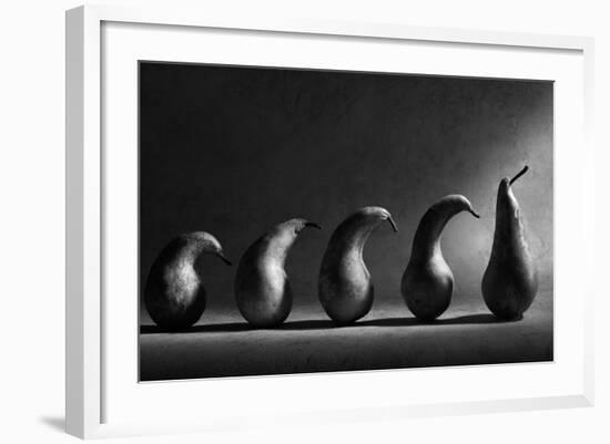 The Evolution-Victoria Ivanova-Framed Photographic Print