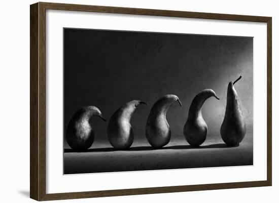 The Evolution-Victoria Ivanova-Framed Photographic Print