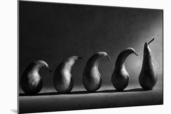 The Evolution-Victoria Ivanova-Mounted Photographic Print