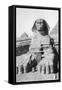 The Excavated Sphinx, Cairo, Egypt, C1920S-null-Framed Stretched Canvas