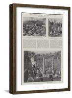 The Excavations at Bosco Reale-G.S. Amato-Framed Giclee Print