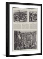 The Excavations at Bosco Reale-G.S. Amato-Framed Giclee Print