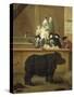 The Exhibition of the Rhino, 1751-Pietro Longhi-Stretched Canvas