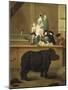 The Exhibition of the Rhino, 1751-Pietro Longhi-Mounted Giclee Print