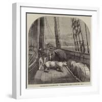 The Expedition in Search of Sir J Franklin, Arctic Bear on Board the Fox-null-Framed Giclee Print