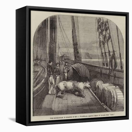 The Expedition in Search of Sir J Franklin, Arctic Bear on Board the Fox-null-Framed Stretched Canvas