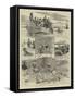The Experiences of an Amateur Diver-William Ralston-Framed Stretched Canvas