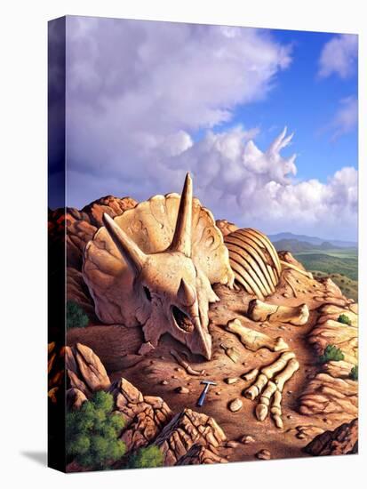 The Exposed Bones of a Triceratops on a Western Landscape-null-Stretched Canvas
