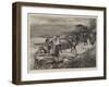 The Expulsion of the Quakers from Massachusetts, 1660-null-Framed Giclee Print