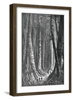 The Extensive Forests of Guyana, French Guiana, Engraving by Henri Theophile Hildebrand-null-Framed Giclee Print