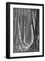 The Extensive Forests of Guyana, French Guiana, Engraving by Henri Theophile Hildebrand-null-Framed Giclee Print