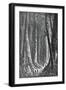 The Extensive Forests of Guyana, French Guiana, Engraving by Henri Theophile Hildebrand-null-Framed Giclee Print