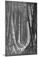 The Extensive Forests of Guyana, French Guiana, Engraving by Henri Theophile Hildebrand-null-Mounted Giclee Print