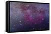 The Extensive Gum Nebula Area in the Constellation Vela-null-Framed Stretched Canvas