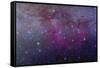 The Extensive Gum Nebula Area in the Constellation Vela-null-Framed Stretched Canvas