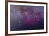 The Extensive Gum Nebula Area in the Constellation Vela-null-Framed Photographic Print