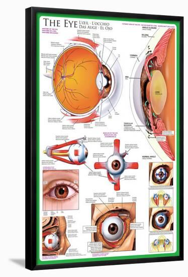 The Eye-null-Framed Poster