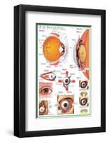 The Eye-null-Framed Premium Giclee Print