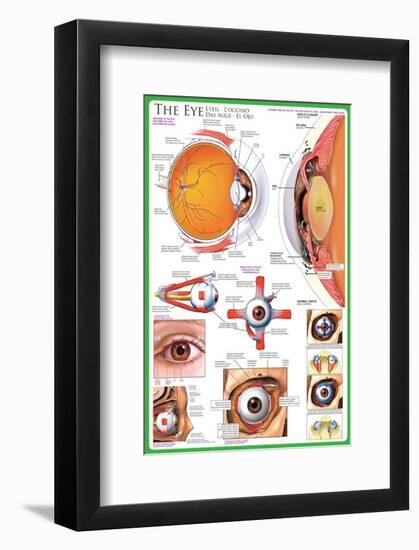 The Eye-null-Framed Premium Giclee Print