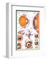 The Eye-null-Framed Premium Giclee Print