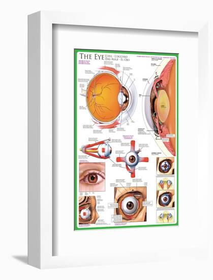 The Eye-null-Framed Premium Giclee Print