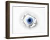 The eye-Ata Alishahi-Framed Giclee Print