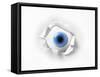 The eye-Ata Alishahi-Framed Stretched Canvas