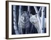 The Eyes Have It-Rusty Frentner-Framed Giclee Print