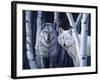 The Eyes Have It-Rusty Frentner-Framed Giclee Print