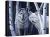 The Eyes Have It-Rusty Frentner-Stretched Canvas