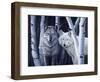 The Eyes Have It-Rusty Frentner-Framed Giclee Print