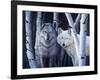 The Eyes Have It-Rusty Frentner-Framed Giclee Print