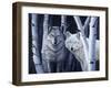 The Eyes Have It-Rusty Frentner-Framed Giclee Print